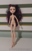Mattel 2013 First Chapter - Ever After High Raven Queen Doll