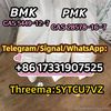 strong Original CAS 5449-12-7 BMK Diethyl(phenylacetyl)malonate WhatsApp:+86 17331907525