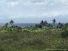 Affordable Lot for Sale along Whitebeach Moalboal area