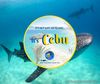 Cebu Inbound, Domestic & International Travel Services + Day Tours