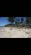 White sand beach lot in Bantayan Island