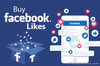 Why You Should Buy Real Facebook Page Likes?
