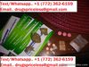 Buy Suboxone 8mg (Buprenorphine):+1(385) 350 3167