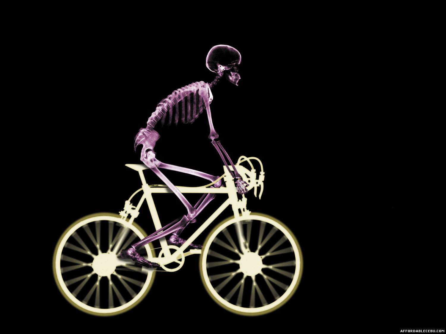 Bicycle X Ray