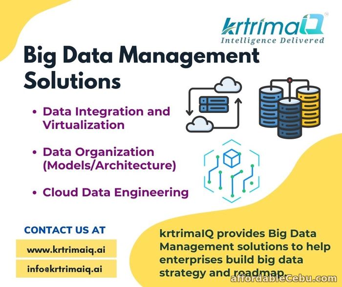 1st picture of Big Data Management Solutions | Modern Data Engineering Solutions Offer in Cebu, Philippines