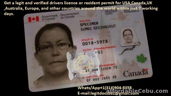1st picture of legitdocs882@gmail.com online application for a US or USA driver's license Watsap+13149048358 Announcement in Cebu, Philippines
