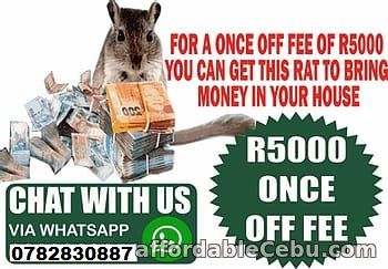 2nd picture of Money Spell Magic Ring Wallet And Rats In Kenya, Rwanda And Uganda Call  +27782830887 East London And Cape Town South Africa Offer in Cebu, Philippines