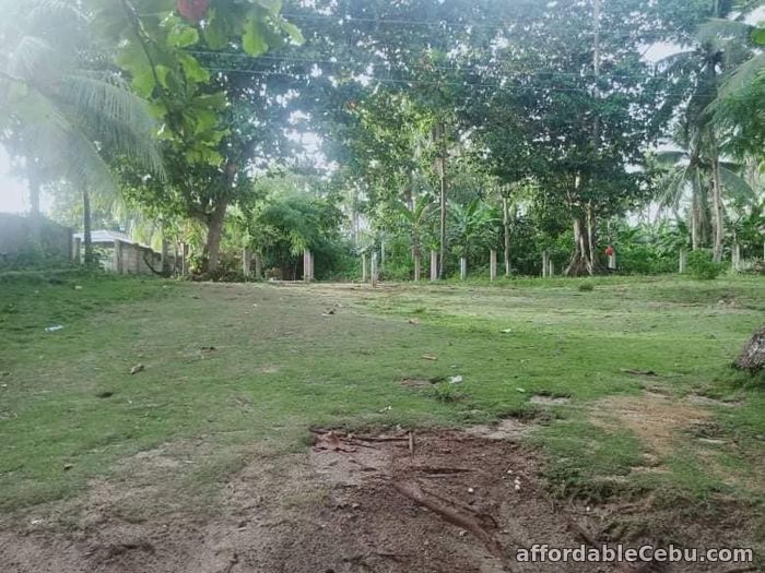 5th picture of Beach Front LOT white Sand in Esperanza San Francisco Camotes Cebu For Sale in Cebu, Philippines