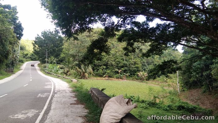 5th picture of Land for Sale only P300 per sqM  - Sogod Cebu For Sale in Cebu, Philippines