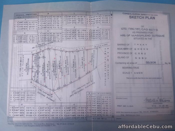 4th picture of Land for Sale only P300 per sqM  - Sogod Cebu For Sale in Cebu, Philippines