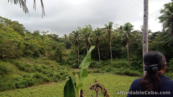 3rd picture of Land for Sale only P300 per sqM  - Sogod Cebu For Sale in Cebu, Philippines