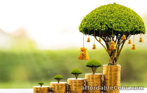 1st picture of How to find funding for your business Offer in Cebu, Philippines