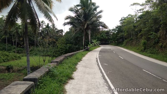 2nd picture of Land for Sale only P300 per sqM  - Sogod Cebu For Sale in Cebu, Philippines