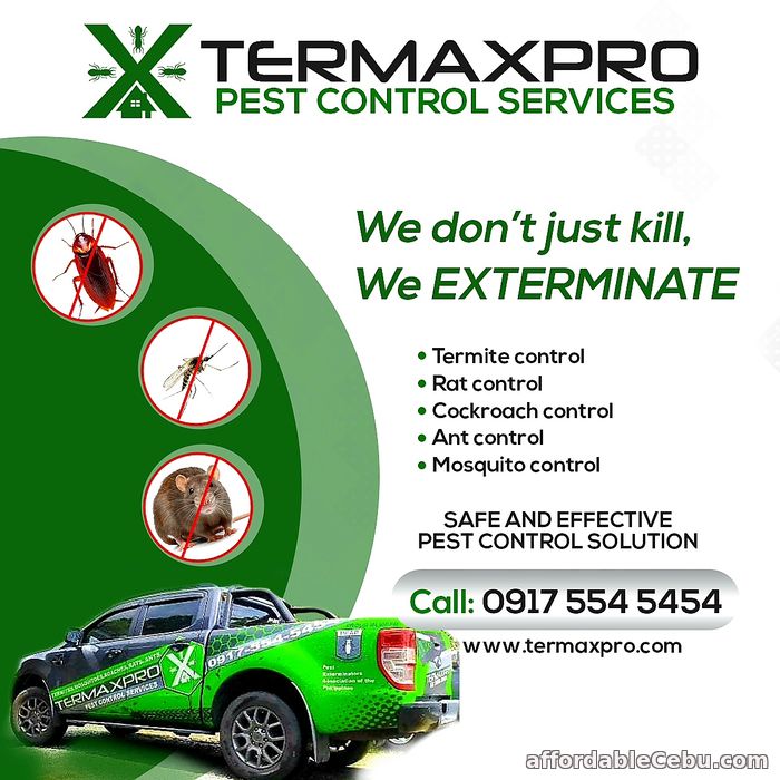 1st picture of Termaxpro Pest Control Service BICOL and CEBU Offer in Cebu, Philippines