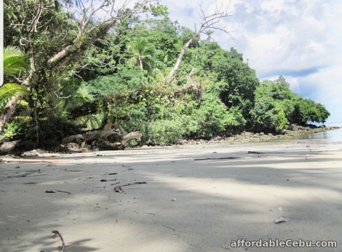 1st picture of BEACH FRONT LOT IN SIARGAO For Sale in Cebu, Philippines