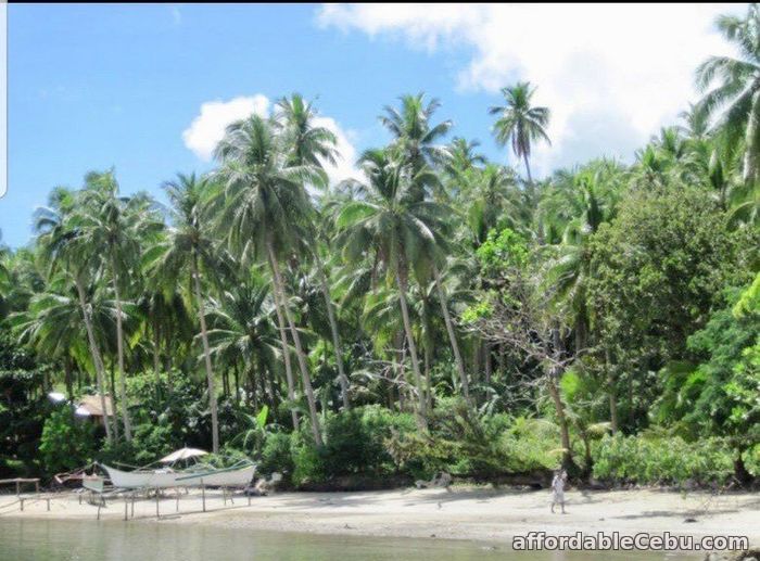 2nd picture of BEACH FRONT LOT IN SIARGAO For Sale in Cebu, Philippines