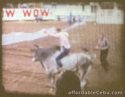 1st picture of 1955 Home Movie 8mm Reel Arizona Rodeo Bucking Bronco Bull Riding Parade Vegas For Sale in Cebu, Philippines