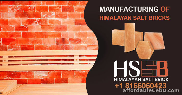 1st picture of Basic About Manufacturing Of Himalayan Salt Bricks For Sale in Cebu, Philippines