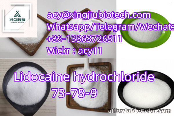 1st picture of Factory Supply High Purity Lidocaine hydrochloride CAS 73-78-9 For Sale in Cebu, Philippines