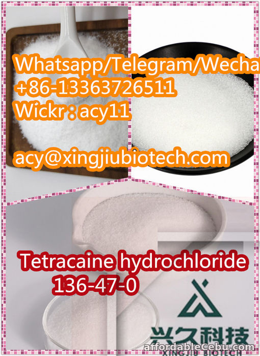 3rd picture of High Quality CAS 136-47-0  Tetracaine hydrochloride For Sale in Cebu, Philippines