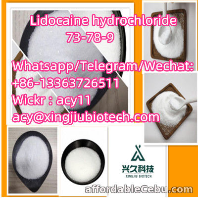 2nd picture of Factory Supply High Purity Lidocaine hydrochloride CAS 73-78-9 For Sale in Cebu, Philippines