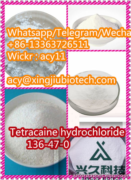 2nd picture of High Quality CAS 136-47-0  Tetracaine hydrochloride For Sale in Cebu, Philippines