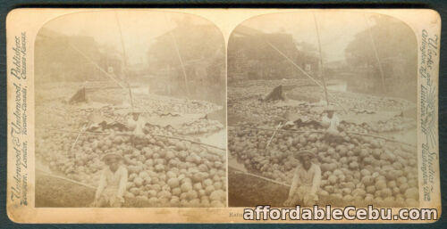 1st picture of 1900 Philippines RAFTS OF COCOANUTS Stereoview Card For Sale in Cebu, Philippines