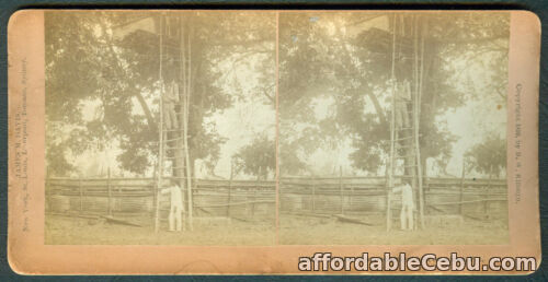 1st picture of 1899 Philippine–American War FILIPINO SHARP SHOOTERS Stereoview Card For Sale in Cebu, Philippines