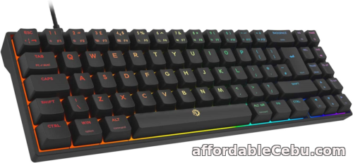 1st picture of DREVO Calibur V2 TE RGB 60% Wired Mechanical Gaming Keyboard, 72-Key Small Work For Sale in Cebu, Philippines