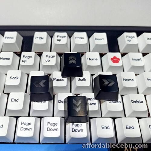 1st picture of New OEM Direction Keys Mechanical Keyboard Keycaps ABS Translucent for For Sale in Cebu, Philippines