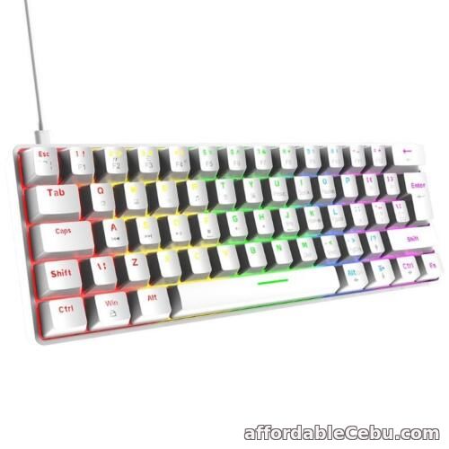 1st picture of Blue/Red Switch Mechanical Keyboard Wired 62 Keys LED Backlit for  for Game For Sale in Cebu, Philippines