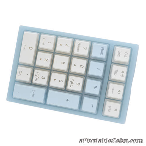 1st picture of (Blue White) Mechanical Numeric Keypad Ergonomic Design Small 21 Key RGB For Sale in Cebu, Philippines