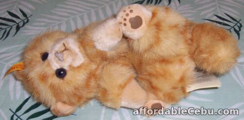 1st picture of Steiff Minka Ginger Tabby Cat laying Down Toy EAN 074578 Cosy Friends For Sale in Cebu, Philippines
