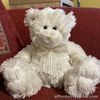 Small White Soft Bear Plush TEDDY & FRIENDS AUSTRALIA & SYDNEY