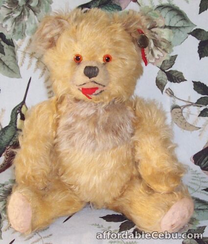 1st picture of Vintage Schwika Mohair Teddy Bear Austria c1950's Open Mouth Zotty with Ear Tag For Sale in Cebu, Philippines