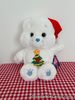Care Bears Official Licensed Plush Christmas Wishes Bear