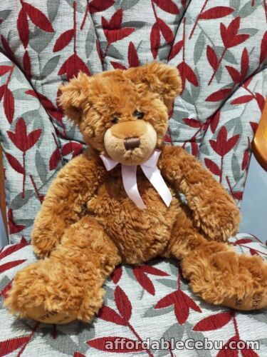 1st picture of David Jones Charity Bear For Sale in Cebu, Philippines