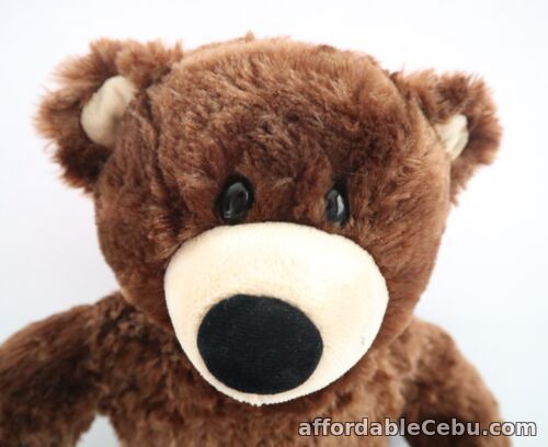 1st picture of Build-A-Bear Dark Brown Soft Plush Toy Bear, 36 cm, Great Condition For Sale in Cebu, Philippines