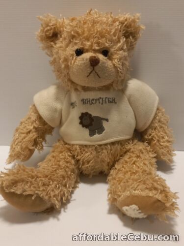 1st picture of Vintage Settler Bears - Teddy Bear (Big Brother) Arizona USA For Sale in Cebu, Philippines