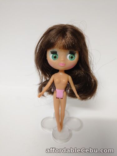 1st picture of BLYTHE LOVES LITTLEST PET SHOP DOLL - PLAYFULLY PLAID #B4 #1616 RARE RETIRED For Sale in Cebu, Philippines