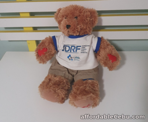 1st picture of AURORA TEDDY BEAR RUFUS 35CM COLOURED PARTS OF BODY DIABETIES BEAR For Sale in Cebu, Philippines