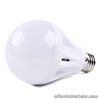 Indoor 9W LED Bulb (Warm White)