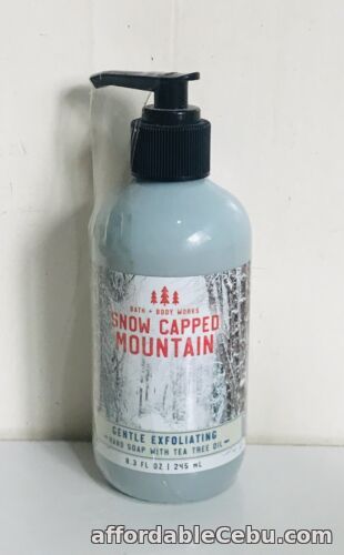 1st picture of BATH & BODY WORKS GENTLE EXFOLIATING HANDSOAP HAND SOAP - SNOW CAPPED MOUNTAIN For Sale in Cebu, Philippines