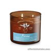 Bath and Body Works Aromatherapy FOCUS Scented Candle 14.5OZ