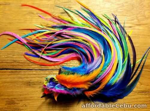 1st picture of Long Feather Extensions BRIGHT W/FLUFF Solid Wide Webbed Tail Schlappen For Sale in Cebu, Philippines