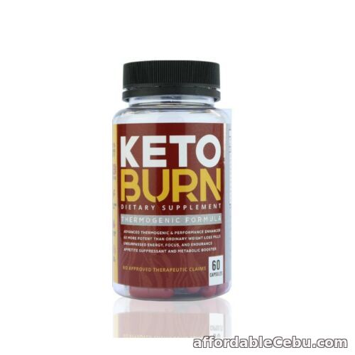 1st picture of SOZO Keto Burn 60 Capsules For Sale in Cebu, Philippines