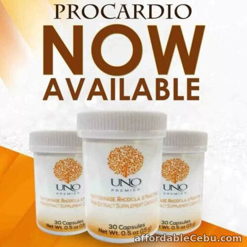 1st picture of UNO PREMIER PROCARDIO For Sale in Cebu, Philippines