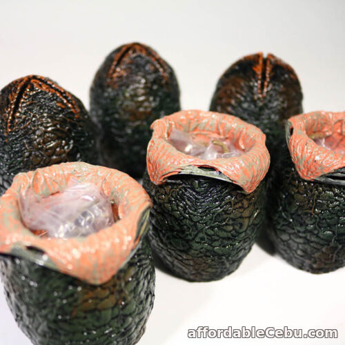 1st picture of NECA Alien Eggs 6-Pack Cage-Free Accessory Set w Aliens Face Huggers Loose For Sale in Cebu, Philippines