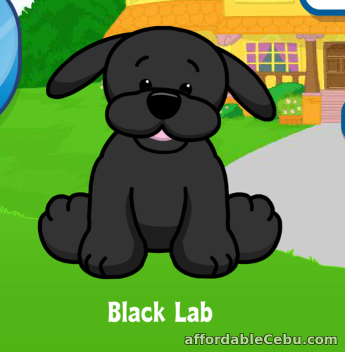1st picture of Webkinz Black Lab Virtual Adoption Code Only Messaged Webkinz Black Lab Retired! For Sale in Cebu, Philippines