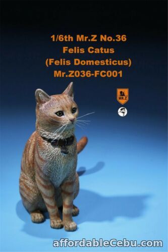 1st picture of Mr.Z 1/6 Cute Domestic Cat Felis catus Pet Figure Animal Decor Model Toy Gift For Sale in Cebu, Philippines